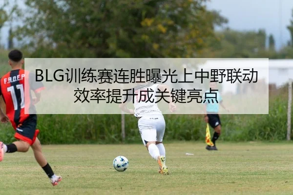 BLG训练赛连胜曝光上中野联动效率提升成关键亮点
