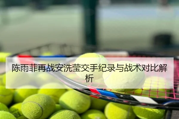 陈雨菲再战安洗莹交手纪录与战术对比解析